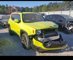 جيب رينيجيد